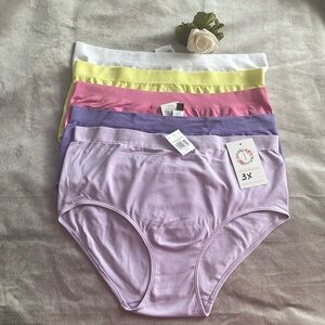 Ladies 5 Pack Plus Size Panties - Size 3X